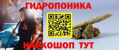 гашик Ливны