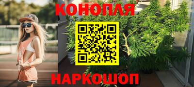 гашик Ливны